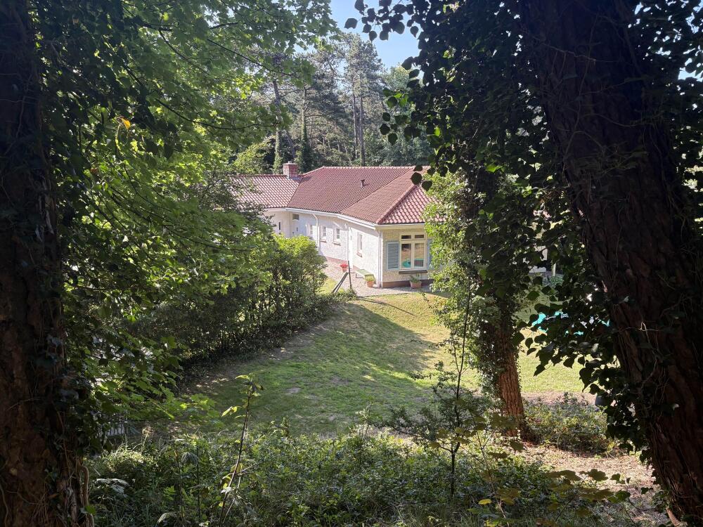 Foto 45 1000w