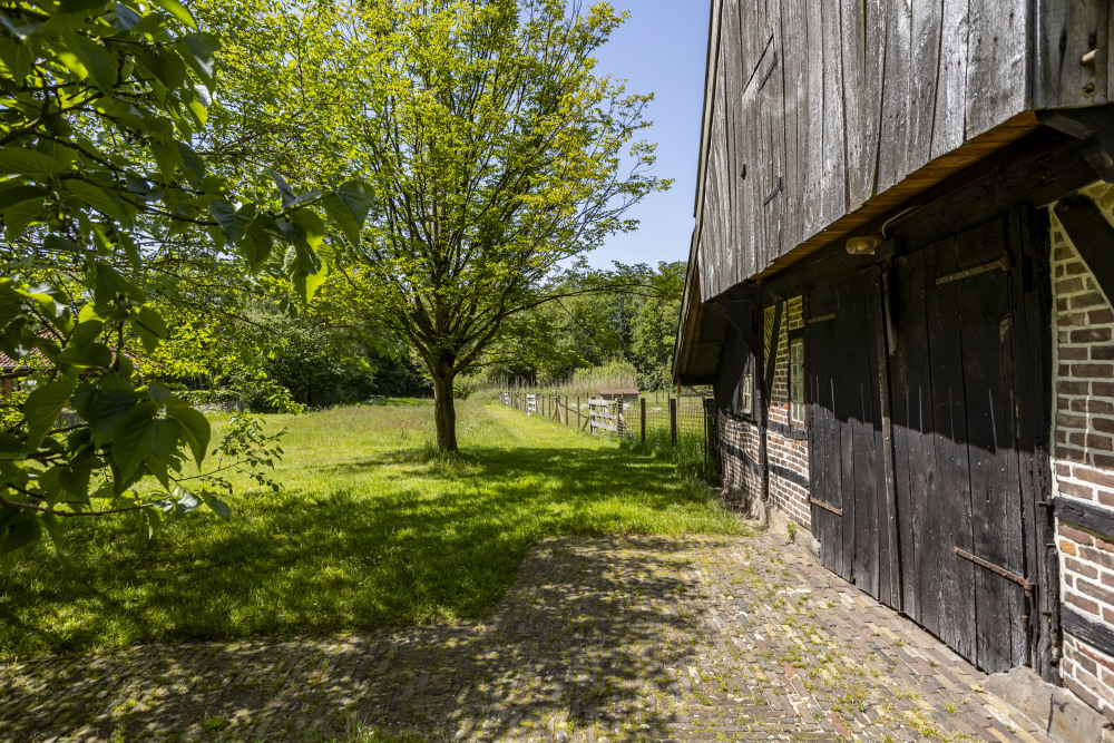 Foto 44 1000w