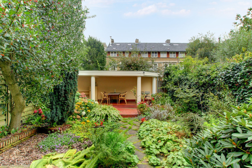 Foto 11 1000w