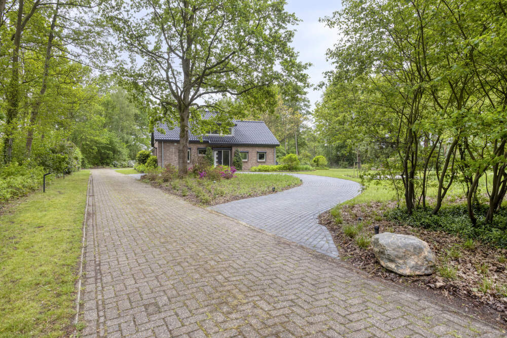 Foto 3 1000w