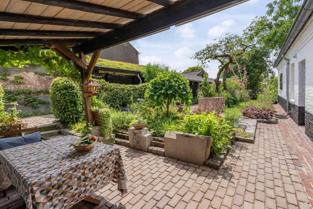 Foto 37 1000w