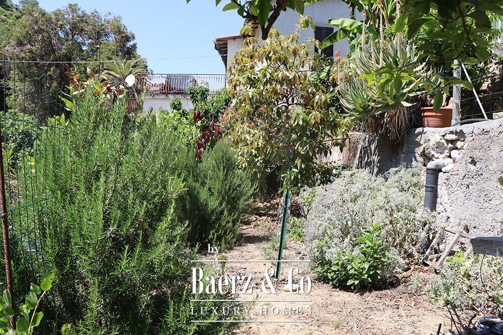 Foto 46 1000w