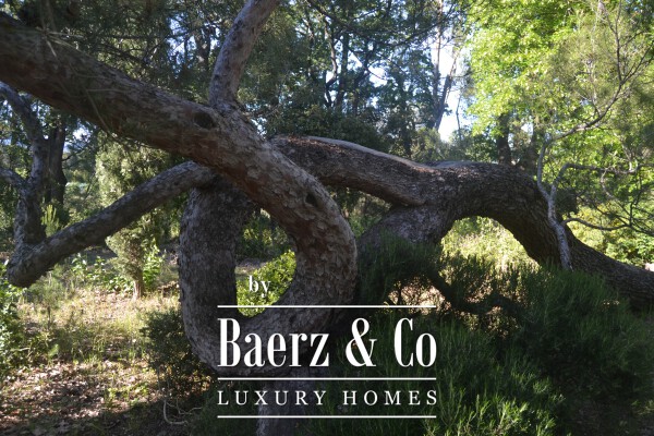 photo 22 Historic manor house overlooking Mont Ventoux