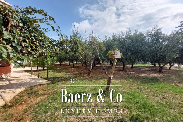 photo 44 Galižana, apartment house with garage and olive grove