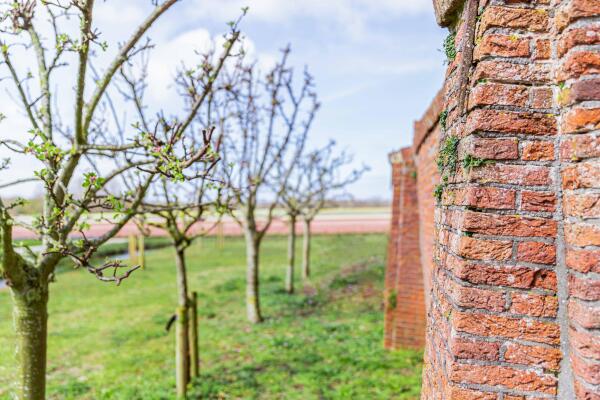 photo 71 Achterweg-Zuid 56