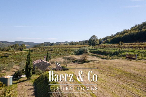 photo 7 Istria, Momjan, modern stone villa