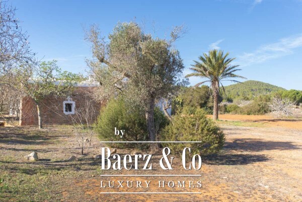 photo 52 Beautiful luxury home in San Mateo, San Mateo