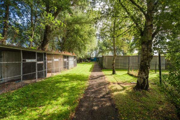 photo 59 Den Ilp 108