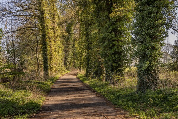 photo 7 Schoolkaterdijk 80