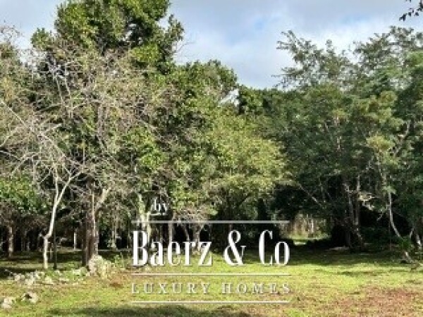 photo 41 18th Century Hacienda with Cenote and 403 acres!