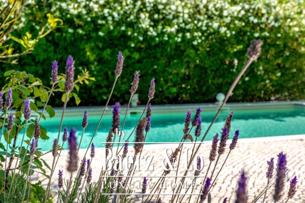 photo 22 Equestrian Property