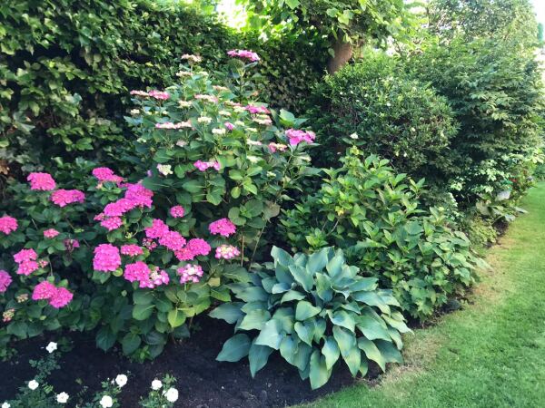 photo 34 Lijsterlaan 2 b