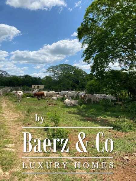 photo 1 Street 24 x 29 