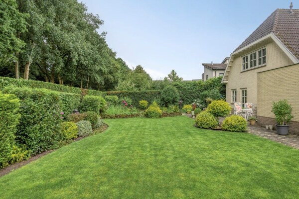 photo 8 Bilzekruid 11