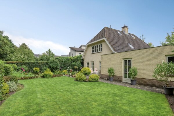 photo 47 Bilzekruid 11