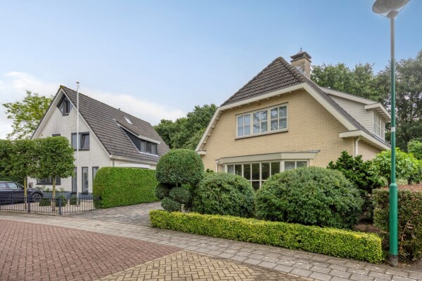 photo 5 Bilzekruid 11