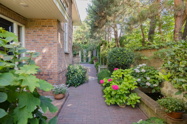 photo 61 Dennenweg 8