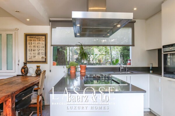 photo 11 Sant Pere de Ribes, Los Viñedos