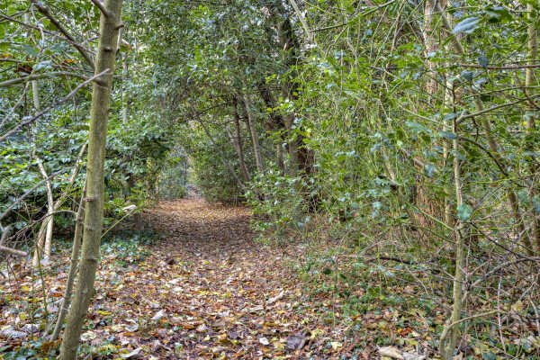 photo 41 Spinolaberg 12