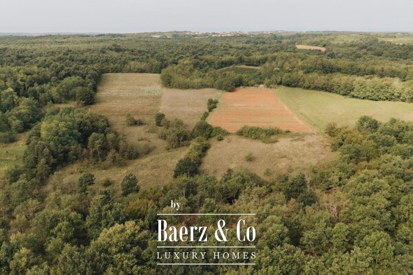 photo 7 Istria, Višnjan area - luxurious stone villa with heated pool and spacious property