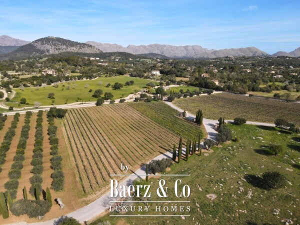 photo 13 Exclusive Wine Estate with Bodega, Olive Grove and 10 Hectares of Private Forest