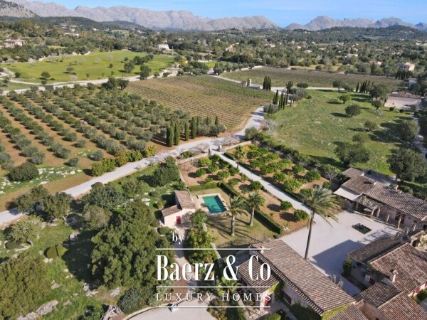 photo 8 Exclusive Wine Estate with Bodega, Olive Grove and 10 Hectares of Private Forest