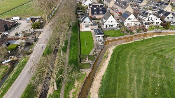 photo 56 Timotheegras 13