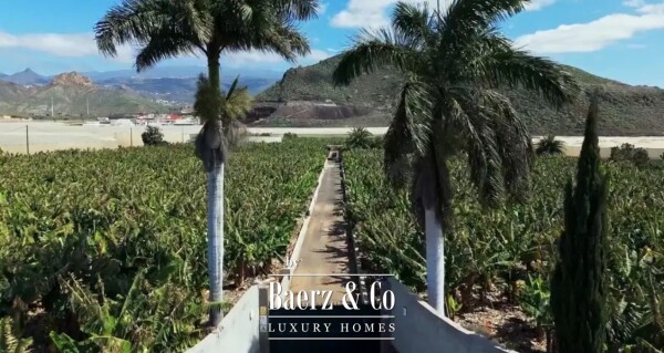 photo 39 Magnificent estate featuring family home and an organic banana plantation