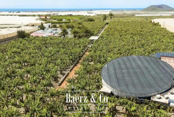 photo 7 Magnificent estate featuring family home and an organic banana plantation