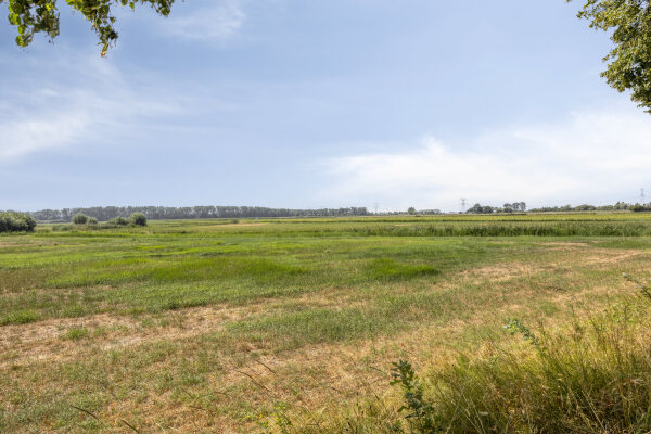 photo 82 Tholenseweg 6