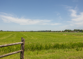 GROENEKAN