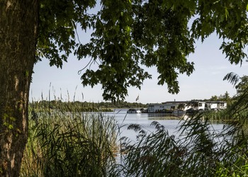 LOOSDRECHT