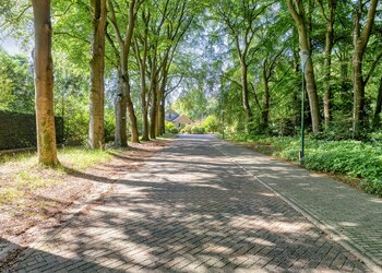 Rhenen